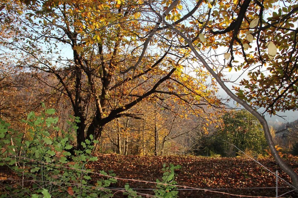 Casa Al Sasso Villa Bedigliora Exterior foto